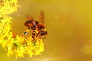 krzysztof-niewolny-hFmDGv0HQSw-unsplash